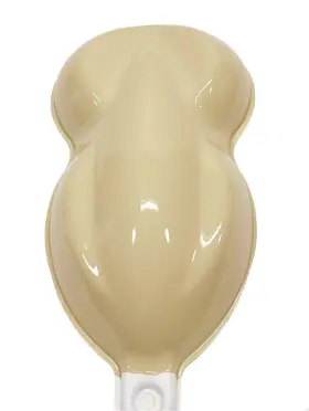 4238 Vision Auto Paint # High Gloss Safari Tan Single Stage Acrylic Enamel Quart Only