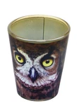 Owl Face 2OZ Shot Glass New. Price: $9.99.