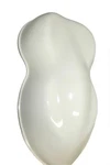 As - 4010 Pure White Single Stage Urethane Enamel Paint Gallon Kit New. Price: $216.95.