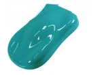 Aqua Turquoise Quart Kit Auto Paint New. Price: $89.00.