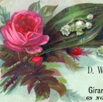 1880S D.w. Reichard & Co. Girard Ready Mixed Paints Hagerstown Fab! P173 Used. Price: $14.00.