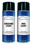 For Tesla Ppsw White Water Pearl Spray Paint Compatible New. Price: $59.99.